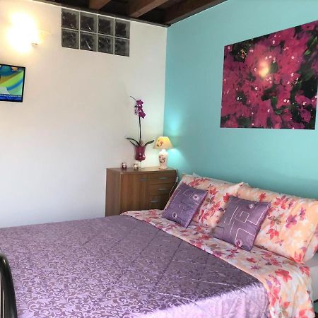 Oasi Di Paradiso - Comfy Private Apartment On Ground Floor With Terrace 代森扎诺-德尔加达 外观 照片