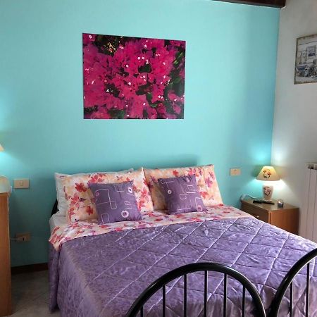 Oasi Di Paradiso - Comfy Private Apartment On Ground Floor With Terrace 代森扎诺-德尔加达 外观 照片